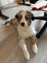 3b06629a-3e00-48e1-b06f-56156c330095