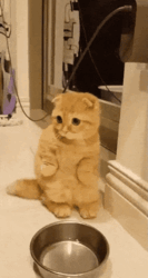 9696a794-0789-4ed6-af26-cc5b7134f590