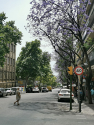 dabb3c94-f86c-4d2c-9f75-488e21455929