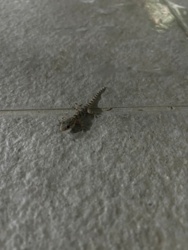 b101a530-b092-43dd-9c38-452ac66d65f2