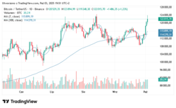 381a4348-6175-4c1d-8005-dd1501fc2688