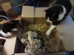 889755f9-45f7-49c4-b8c0-61fc66684fe3