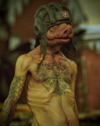 ba0f713e-e28d-4d4a-8a30-bd727d226575