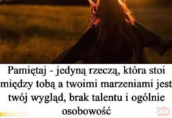 2a3c22c0-d8b0-49bc-a358-34eb61bfacd2