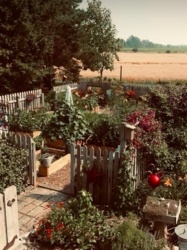 cf19d0bc-2a56-461f-977c-3df584121dea