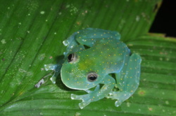 911c0e5b-e9f7-4d52-add3-f3af2d3666cb