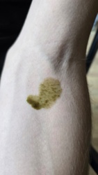 f3c1bd01-b5e9-4e45-8a2a-1d2fe714bcf4