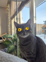 87aad388-fb7a-4d8a-82bb-a089a45d94a2