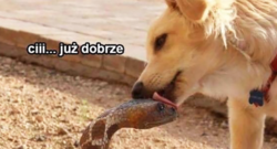 44b1fdde-1af0-4016-85bd-570bf8a08830