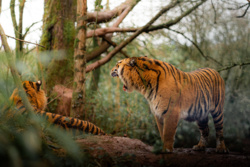 52caac73-7d93-4cfa-a929-a32bdc1448a5