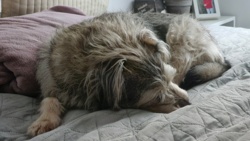 bf4d5727-5595-4ad9-b50d-ded3b4c3cf16