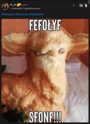 25c14ae8-762d-427a-9302-4c0fc296098c