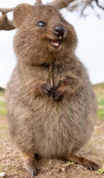 d65c5352-a113-4430-a6a3-6b931c971161