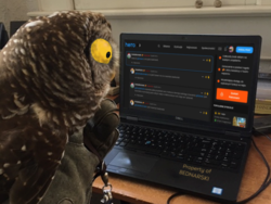 3d20b42e-6902-40ae-82d5-73cc5501fe1e