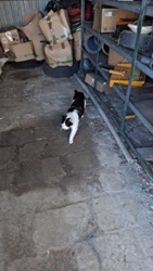 741e9bea-77fb-46d0-847c-eac0a1088d9a