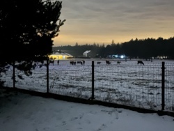 42b6e5da-dca9-4882-b00f-dbc7a5bbec47