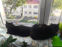 303d9b71-ef13-4ec8-add6-69fbadfb66b3