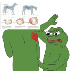 f4778705-9659-4d45-bc19-a91e595d4d2f