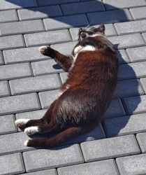 dff84f70-9c61-476d-8928-f6245da2b68d