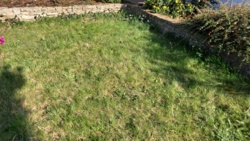 c4f90216-0a31-42be-b545-b0d07d696ca0