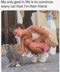 0c7838aa-b64c-4a49-9ca4-b54d68adbd16