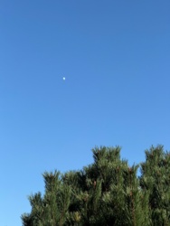 71846439-87ff-4c09-891b-27b6d6b3db9b