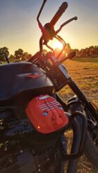 724a9e26-e48e-48ee-adf7-1d70c81f3236