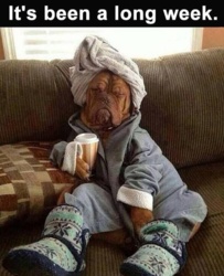 d2e7584d-a627-4a6f-8c96-03873f120b3e