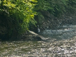 0d43f264-cc7b-45d8-a576-14f676e40ffc