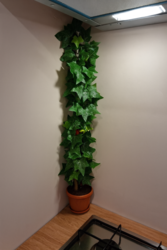 ec2c943e-8a0c-43a7-b290-cc99eb3c9130