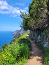 e3fd6056-da6e-4002-b93f-83156a8e5337