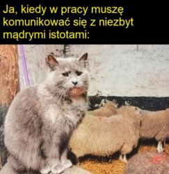 6b5e2d3c-4753-4990-b0d9-e42eb287c8c1