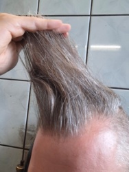 d2cadadc-396f-4307-ae6b-8a8fe2aa8a2b