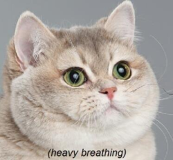 86318c08-4811-4ad3-a73c-566361de3394