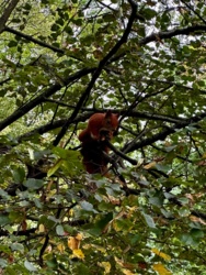 ff34944c-4bcf-43c4-b31b-8a3032304b33