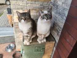 91acabac-73d7-4552-b9fd-4f405ac468e7