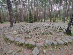 9648ffa8-29d8-4f53-ab2e-6f7b74717242