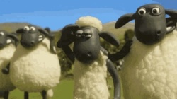 865b4795-5273-423d-bc4e-6519a2b4761f