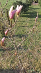 2ef27454-2d9a-40de-900f-ae52b0c84bcb