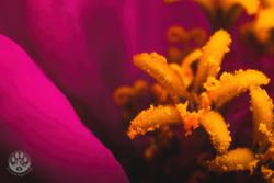 f5690de6-6672-437e-a9f9-c2d44df866a1