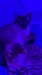 6de4c162-76c4-48b9-b485-8e1f05e011e3