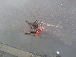 e10ee646-3da1-4300-b076-e84d5c4e62d2