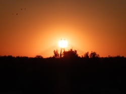 91f0adb1-d349-41cf-91b4-fc9d60750f1c