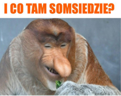 a94dd298-1110-4866-bcf6-5d4e1a2db935