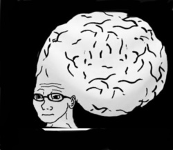 50b82907-2932-4896-a3f9-e27bb54ecd97