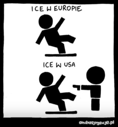 eb5eaf81-531f-46b0-83ae-95455d6e6982