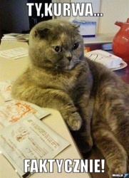 99229cff-d27e-49b5-9c70-eccbd95898ad