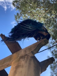 6da6f421-0395-4abe-953e-fc37fe418ffc