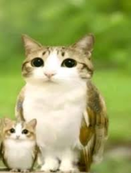 85f98021-c6af-40fb-a4a5-ab2dd120532e