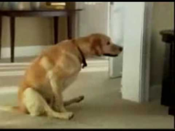 66e7b68e-c99c-4221-9344-2b4c2099556d